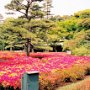 Tokyo, Japan - Imperial Palace Gardens